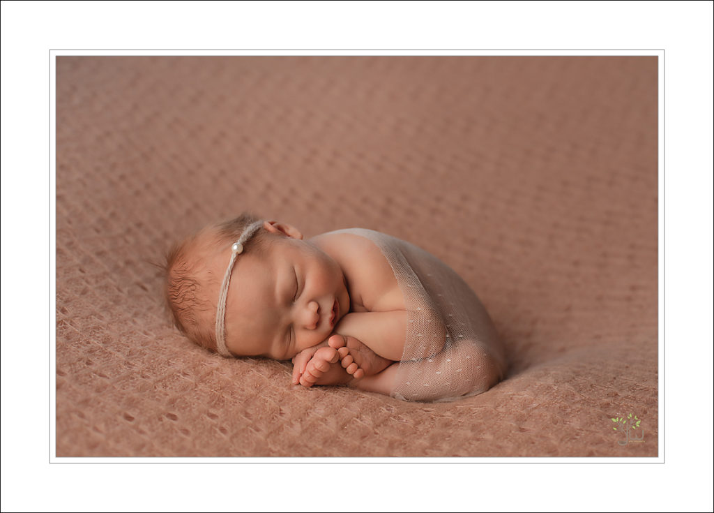 Lacey baby photography